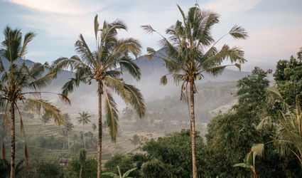 Experience Pure Bali: 5 unique experiences with kids