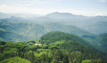 Waarom Sri Lanka op je bucketlist hoort