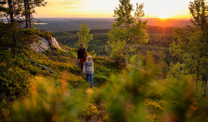 Into the wild: van de ongebaande paden in Fins Lapland