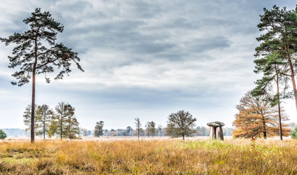 Dit zijn de vijf mooiste wandelroutes in Drenthe