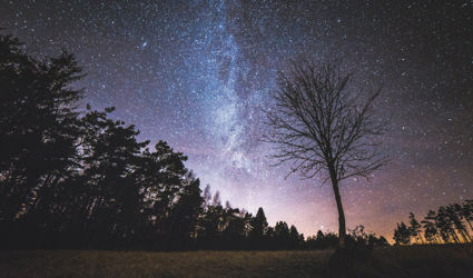What to Do In The Mols Bjerge National Park