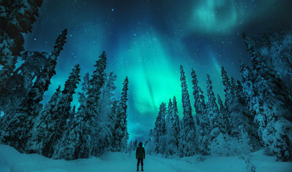 4x Adembenemende activiteiten in winters Lapland