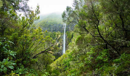 De leukste avonturen voor de herfst op Madeira