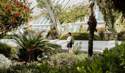 Stedentrip Valencia: groene, culturele en culinaire hoogtepunten