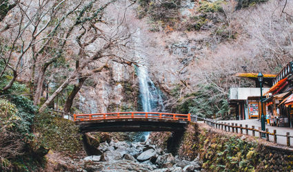 6 Redenen om naar Japan te reizen