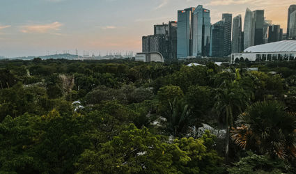 Fiets & food: ontdek Singapore op de fiets