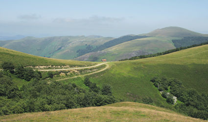 Over Ancient Footpaths to Santiago de Compostela