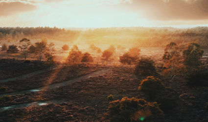 These are the 10 most beautiful nature reserves in Brabant