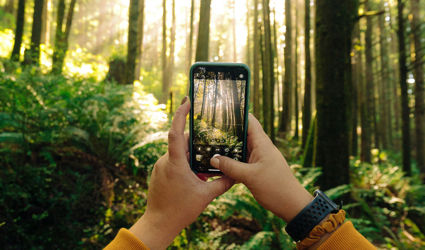 Best travel apps for seamless trip planning & adventures