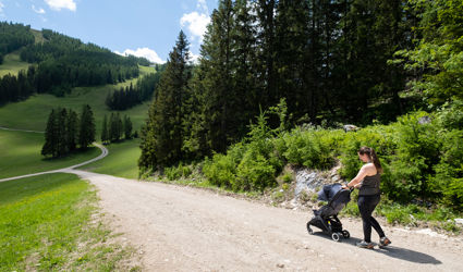 De buggy voor op reis: review van de Bugaboo Butterfly