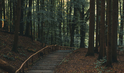 De 7 mooiste natuurgebieden in Europa om te bezoeken in de herfst