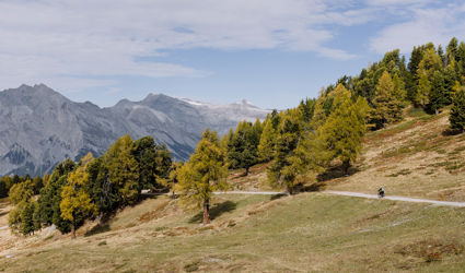E-mountainbiken in herfstig Nendaz
