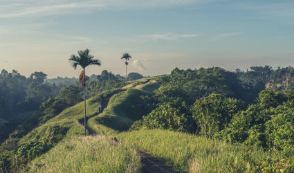 5 tips voor vrijwilligerswerk in Bali