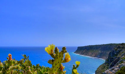 8x Reasons for a long trip to Formentera